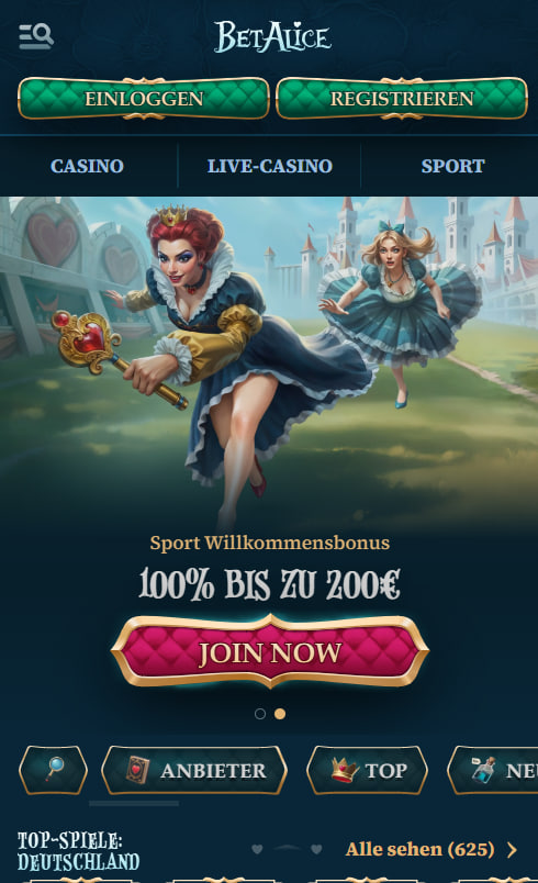 Betreiberhistorie und abschließende Daten